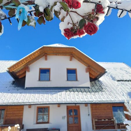 Al Sentiero Di Charly Bed & Breakfast Tarvisio Exterior photo