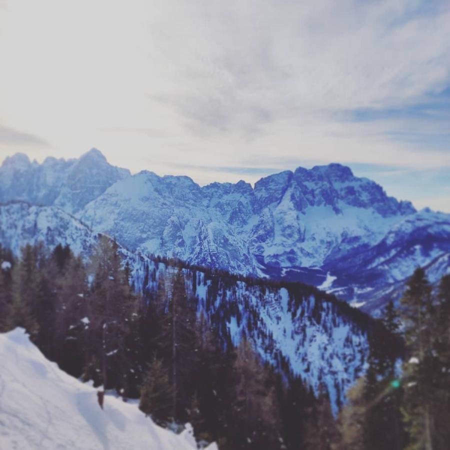 Al Sentiero Di Charly Bed & Breakfast Tarvisio Exterior photo