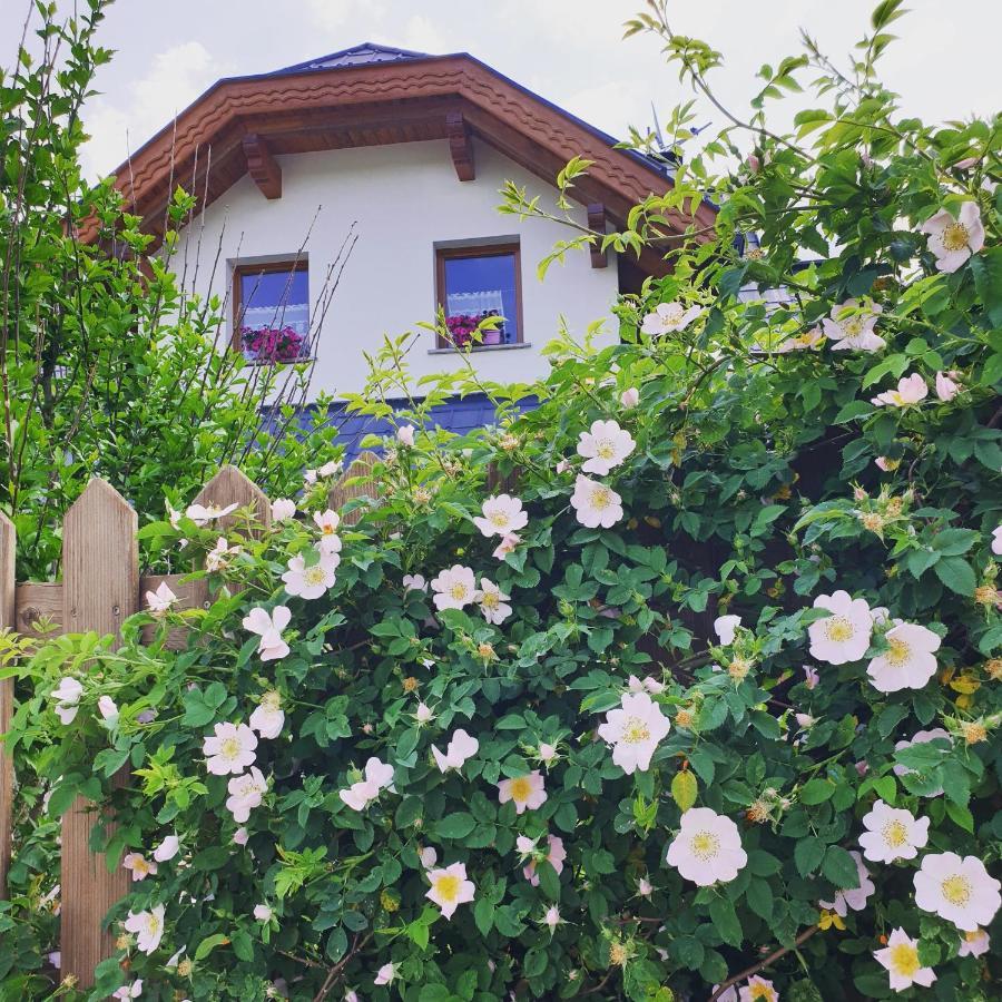 Al Sentiero Di Charly Bed & Breakfast Tarvisio Exterior photo