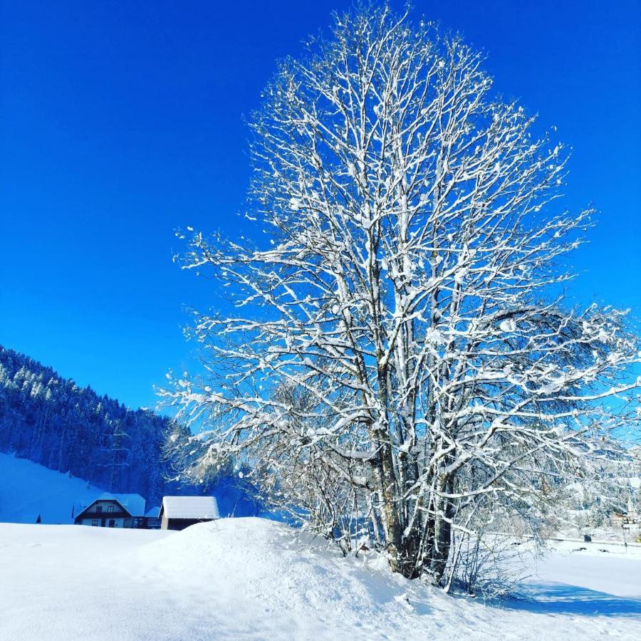 Al Sentiero Di Charly Bed & Breakfast Tarvisio Exterior photo