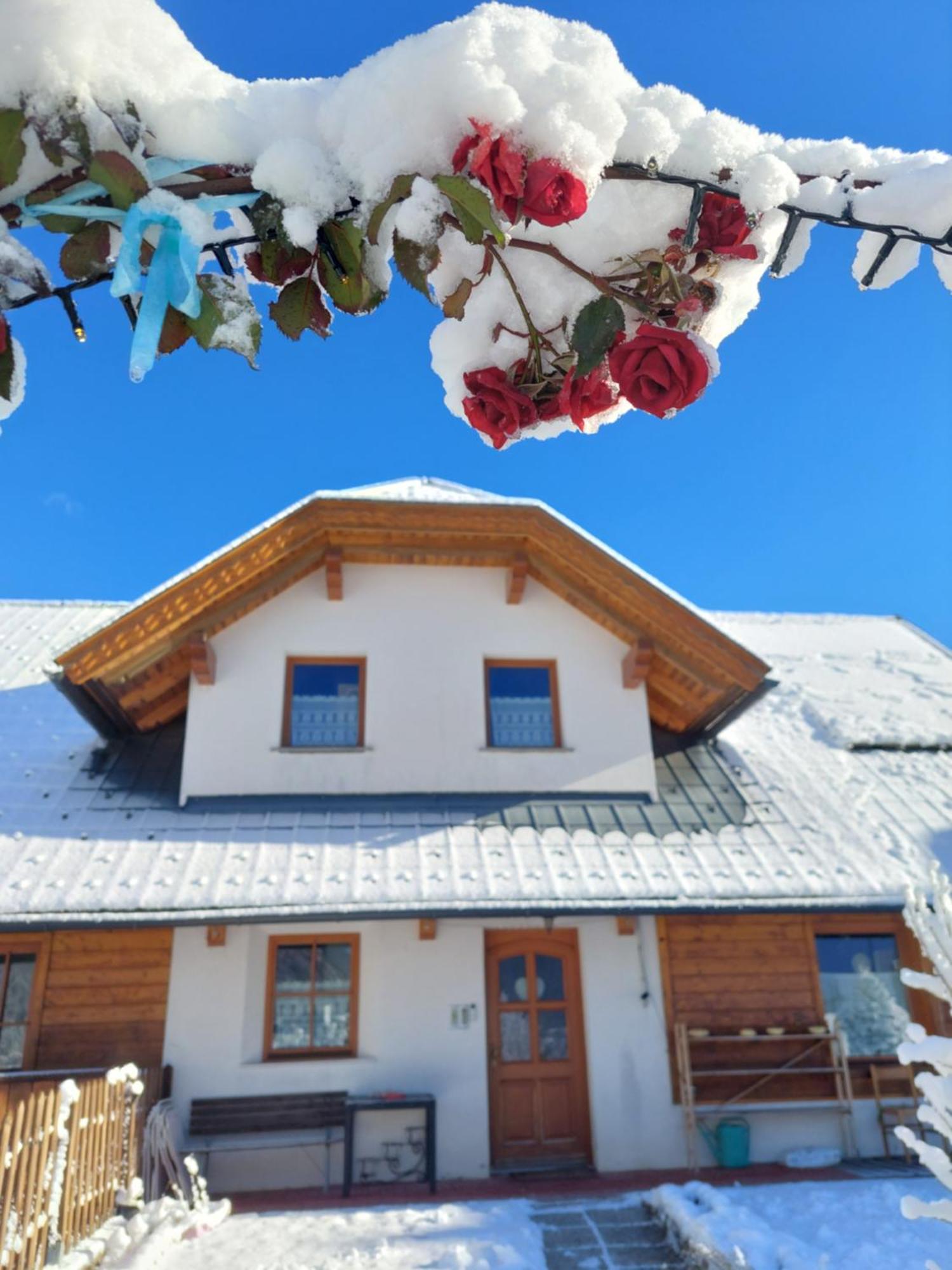 Al Sentiero Di Charly Bed & Breakfast Tarvisio Exterior photo